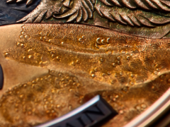 ��һλ�й��ؼҾ����ղ�һö����ΰ��������Ʒ