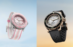 Ϊ��������������ʮ�x  ����¡���Ƴ�ȫ����ʮ�xŮʿǱˮ���